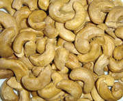 High Grade Cashew Nut  For Sale