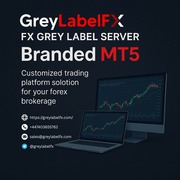 FX Grey Label Server – Branded MT5 Solution for Brokers